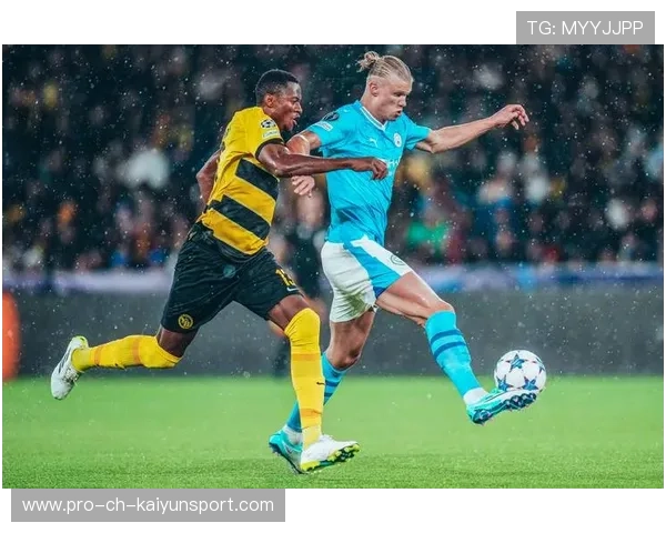 欧洲杯赛场上的激烈对抗引发专家对裁判尺度的讨论，欧洲杯裁判执法安排