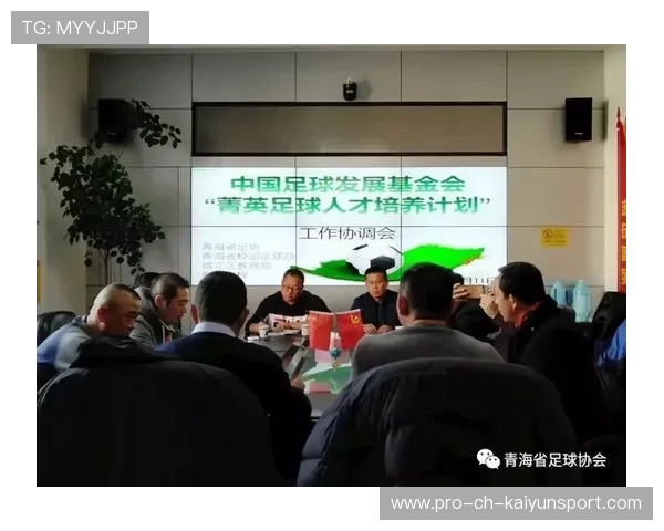 足球专项基金投入基层设施改造工程,足球专项资金使用方案 足球专项基金投入基层设施改造工程,足球专项资金使用方案