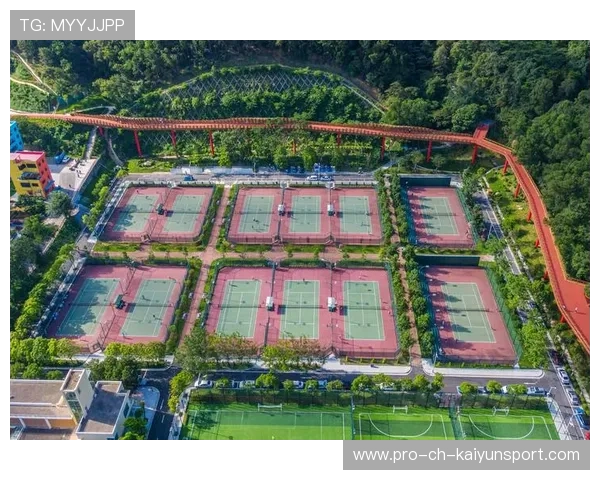 网球赛事推进场馆无障碍设施建设方便更多人参与，网球场网